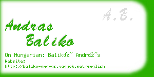 andras baliko business card